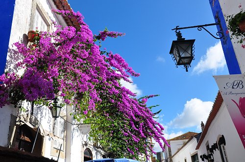 https://suntoursinternational.digitalguider.dev/wp-content/uploads/2026/02/obidos-h2.jpg